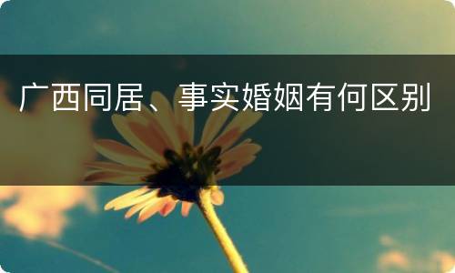 广西同居、事实婚姻有何区别