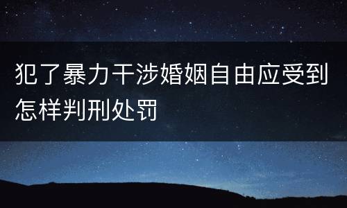 犯了暴力干涉婚姻自由应受到怎样判刑处罚