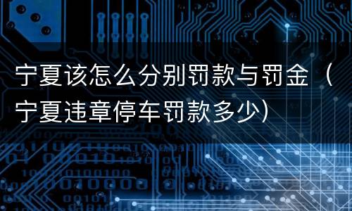 宁夏该怎么分别罚款与罚金（宁夏违章停车罚款多少）