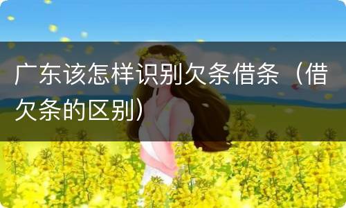 广东该怎样识别欠条借条（借欠条的区别）
