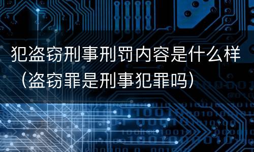 犯盗窃刑事刑罚内容是什么样（盗窃罪是刑事犯罪吗）