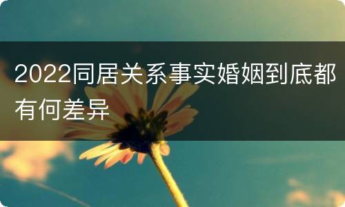 2022同居关系事实婚姻到底都有何差异