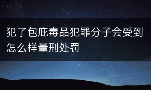 犯了包庇毒品犯罪分子会受到怎么样量刑处罚