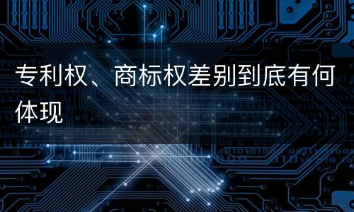 专利权、商标权差别到底有何体现