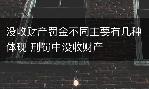 没收财产罚金不同主要有几种体现 刑罚中没收财产