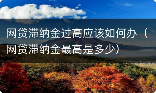网贷滞纳金过高应该如何办（网贷滞纳金最高是多少）