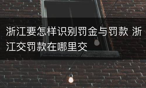 浙江要怎样识别罚金与罚款 浙江交罚款在哪里交
