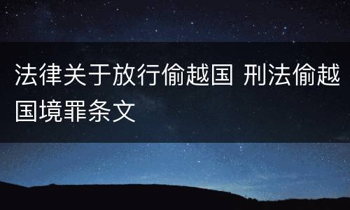 法律关于放行偷越国 刑法偷越国境罪条文
