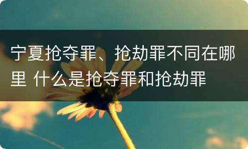 宁夏抢夺罪、抢劫罪不同在哪里 什么是抢夺罪和抢劫罪
