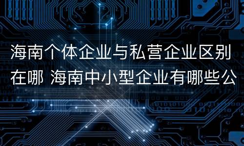 海南个体企业与私营企业区别在哪 海南中小型企业有哪些公司
