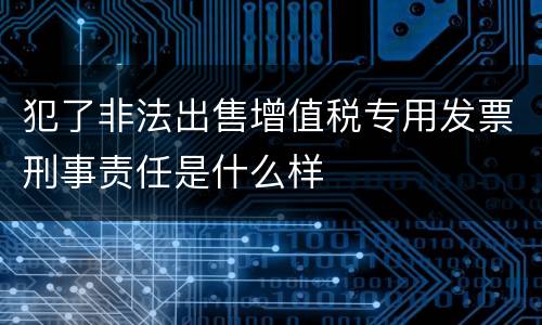 犯了非法出售增值税专用发票刑事责任是什么样