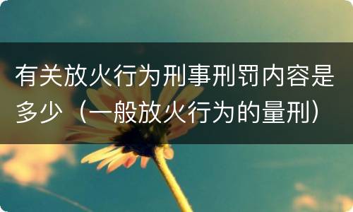 有关放火行为刑事刑罚内容是多少（一般放火行为的量刑）