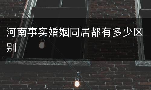 河南事实婚姻同居都有多少区别