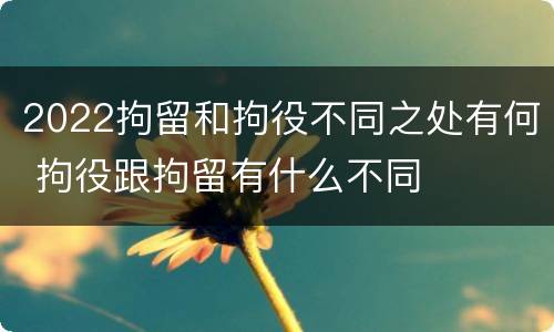 2022拘留和拘役不同之处有何 拘役跟拘留有什么不同