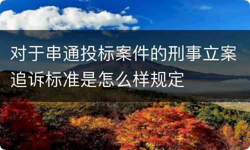 对于串通投标案件的刑事立案追诉标准是怎么样规定
