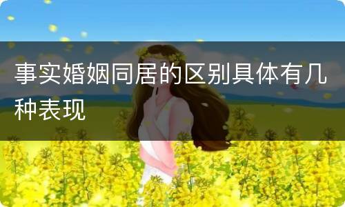 事实婚姻同居的区别具体有几种表现