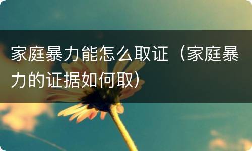 家庭暴力能怎么取证（家庭暴力的证据如何取）