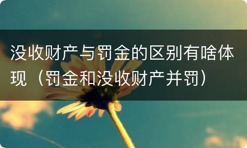 没收财产与罚金的区别有啥体现(罚金和没收财产并罚)