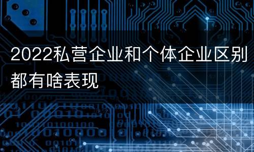 2022私营企业和个体企业区别都有啥表现