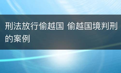 刑法放行偷越国 偷越国境判刑的案例