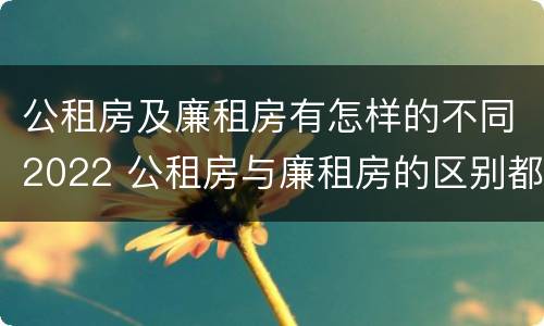 公租房及廉租房有怎样的不同2022 公租房与廉租房的区别都在此,别再搞错了!