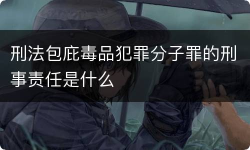 刑法包庇毒品犯罪分子罪的刑事责任是什么