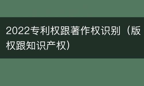 2022专利权跟著作权识别（版权跟知识产权）