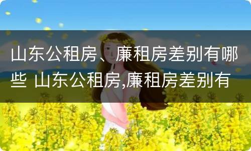山东公租房、廉租房差别有哪些 山东公租房,廉租房差别有哪些原因