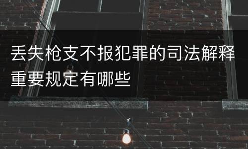 丢失枪支不报犯罪的司法解释重要规定有哪些