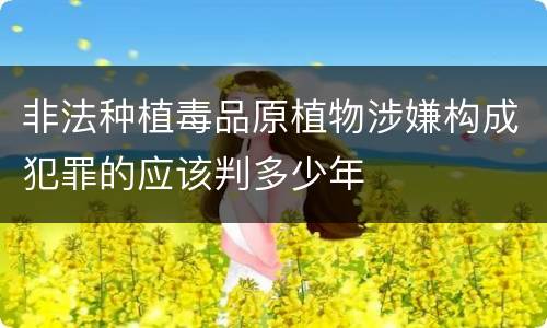 非法种植毒品原植物涉嫌构成犯罪的应该判多少年