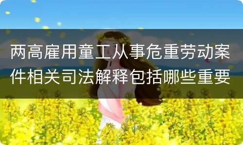 两高雇用童工从事危重劳动案件相关司法解释包括哪些重要内容