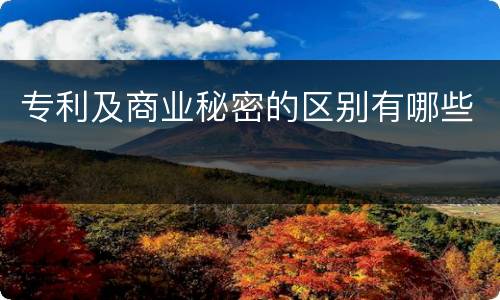 专利及商业秘密的区别有哪些