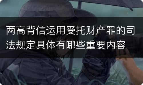 两高背信运用受托财产罪的司法规定具体有哪些重要内容