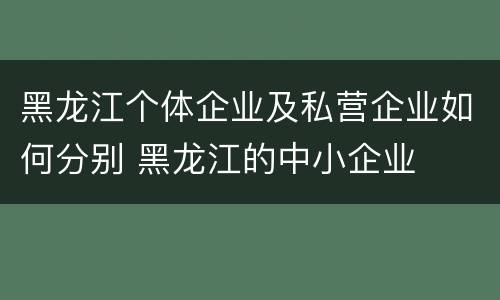 黑龙江个体企业及私营企业如何分别 黑龙江的中小企业