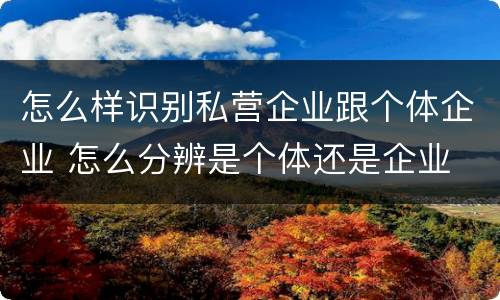 怎么样识别私营企业跟个体企业 怎么分辨是个体还是企业