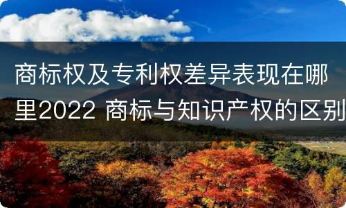 商标权及专利权差异表现在哪里2022 商标与知识产权的区别