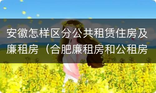 安徽怎样区分公共租赁住房及廉租房（合肥廉租房和公租房的区别）