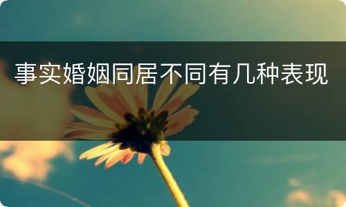 事实婚姻同居不同有几种表现