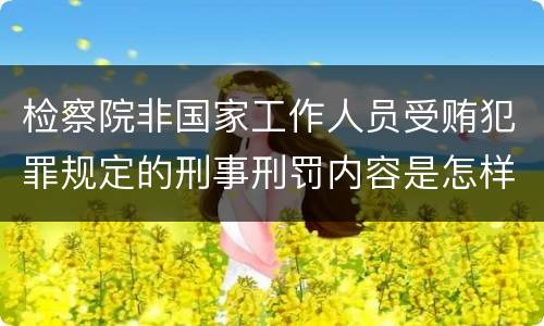 检察院非国家工作人员受贿犯罪规定的刑事刑罚内容是怎样的