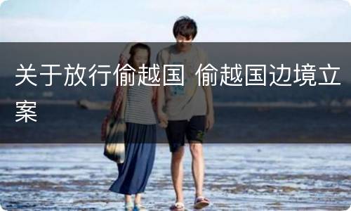 关于放行偷越国 偷越国边境立案