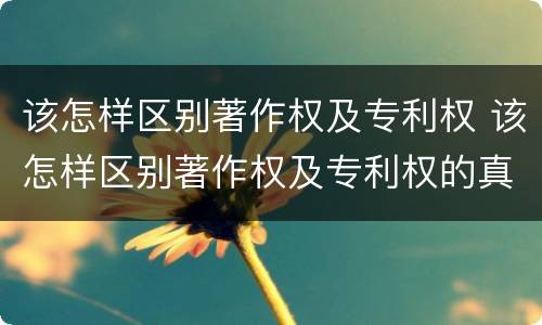 该怎样区别著作权及专利权 该怎样区别著作权及专利权的真假