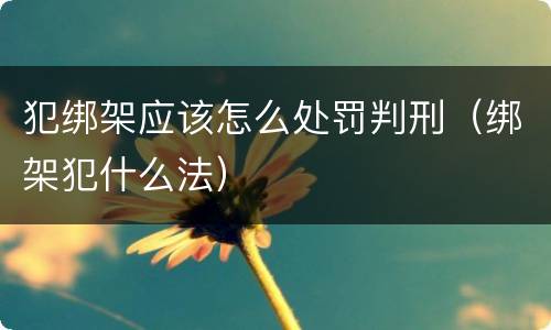 犯绑架应该怎么处罚判刑（绑架犯什么法）