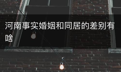 河南事实婚姻和同居的差别有啥