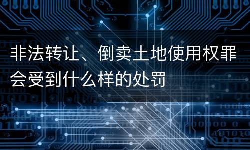 非法转让、倒卖土地使用权罪会受到什么样的处罚
