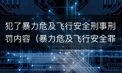 犯了暴力危及飞行安全刑事刑罚内容（暴力危及飞行安全罪属于什么犯）
