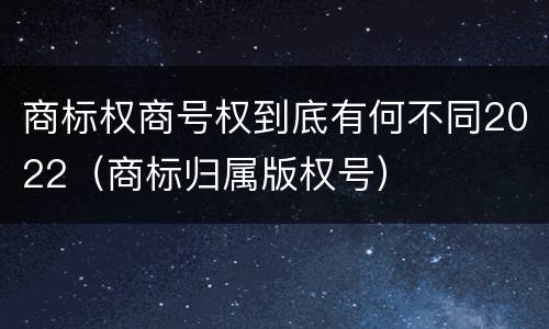 商标权商号权到底有何不同2022（商标归属版权号）