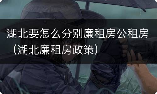 湖北要怎么分别廉租房公租房（湖北廉租房政策）