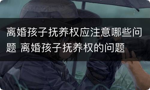 离婚孩子抚养权应注意哪些问题 离婚孩子抚养权的问题