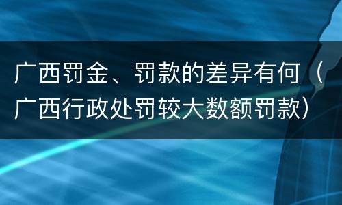 广西罚金、罚款的差异有何（广西行政处罚较大数额罚款）