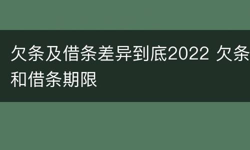 欠条及借条差异到底2022 欠条和借条期限